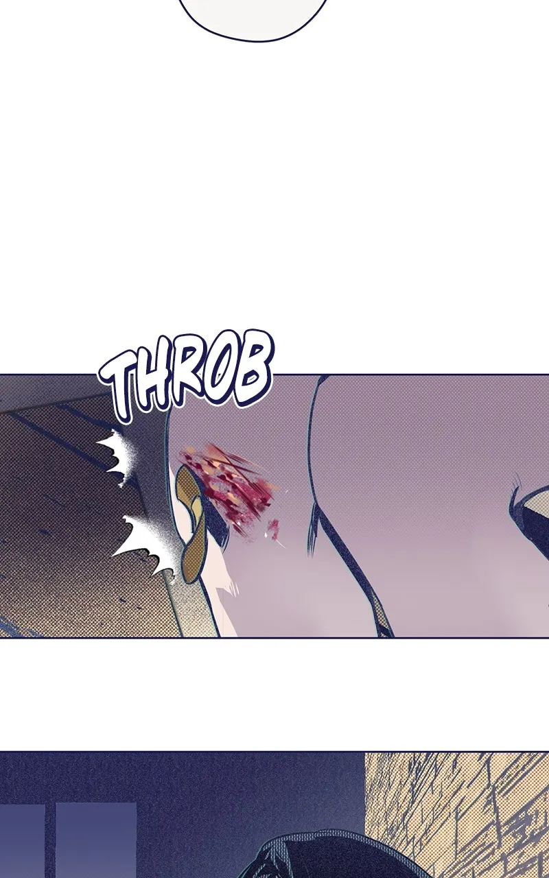 Four Options Chapter 2 page 84 - 