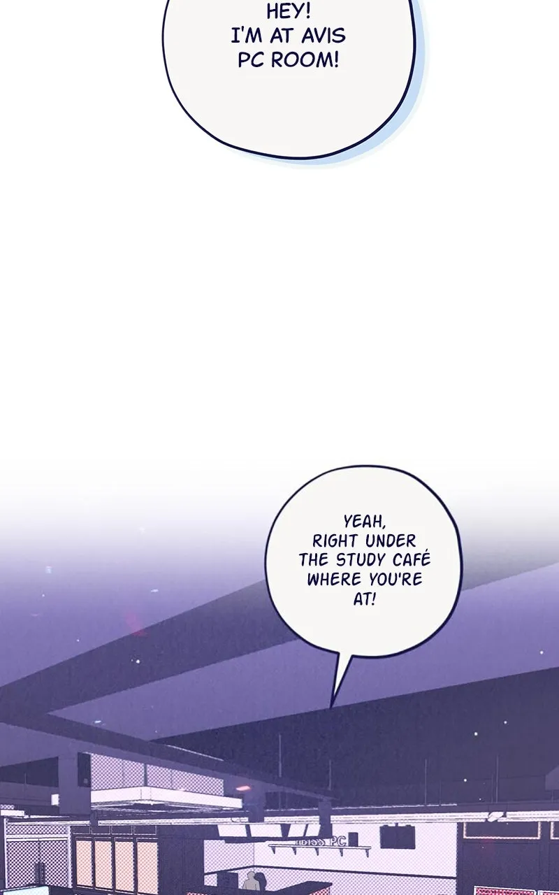 Four Options Chapter 2 page 88 - 