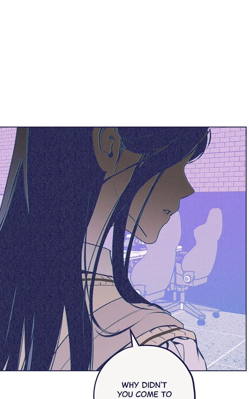 Four Options Chapter 2 page 97 - 