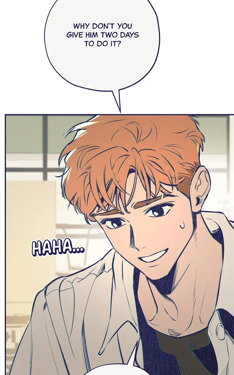 Four Options Chapter 3 page 104 - 