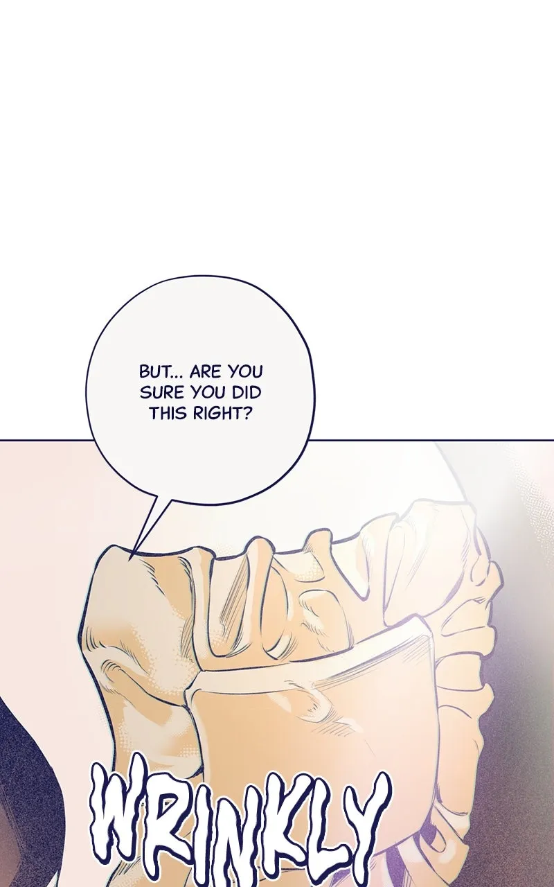Four Options Chapter 3 page 107 - 