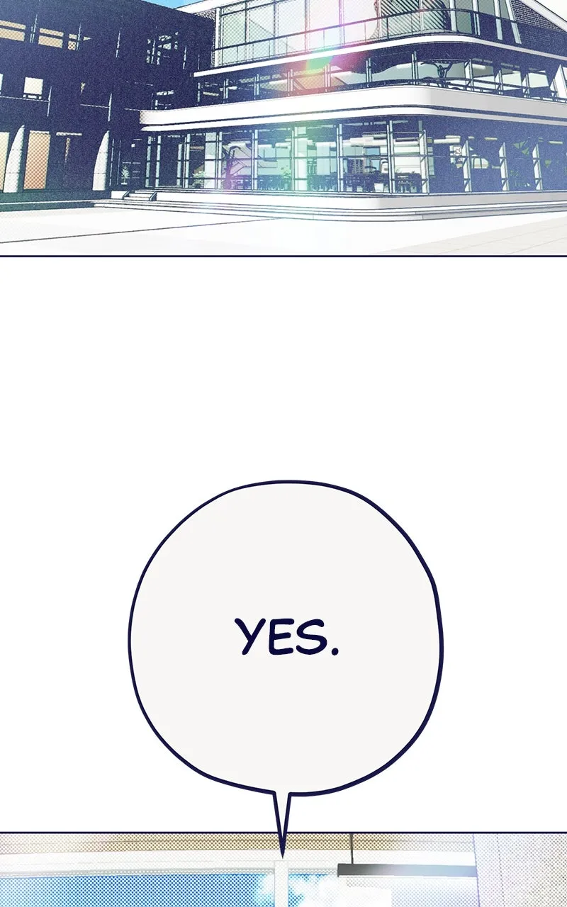Four Options Chapter 3 page 112 - 
