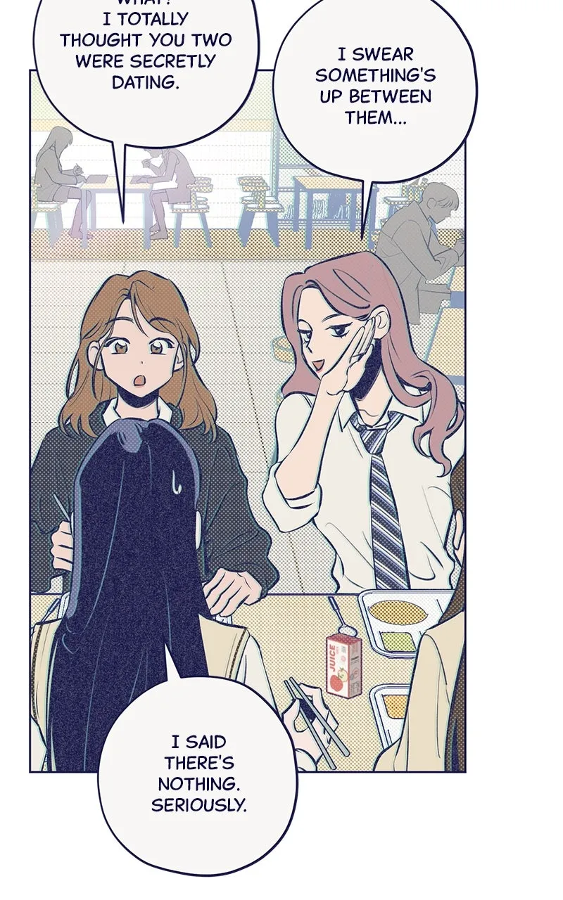 Four Options Chapter 3 page 115 - 
