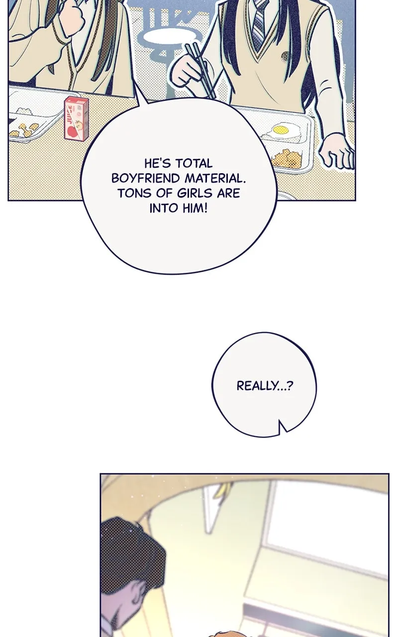 Four Options Chapter 3 page 127 - 