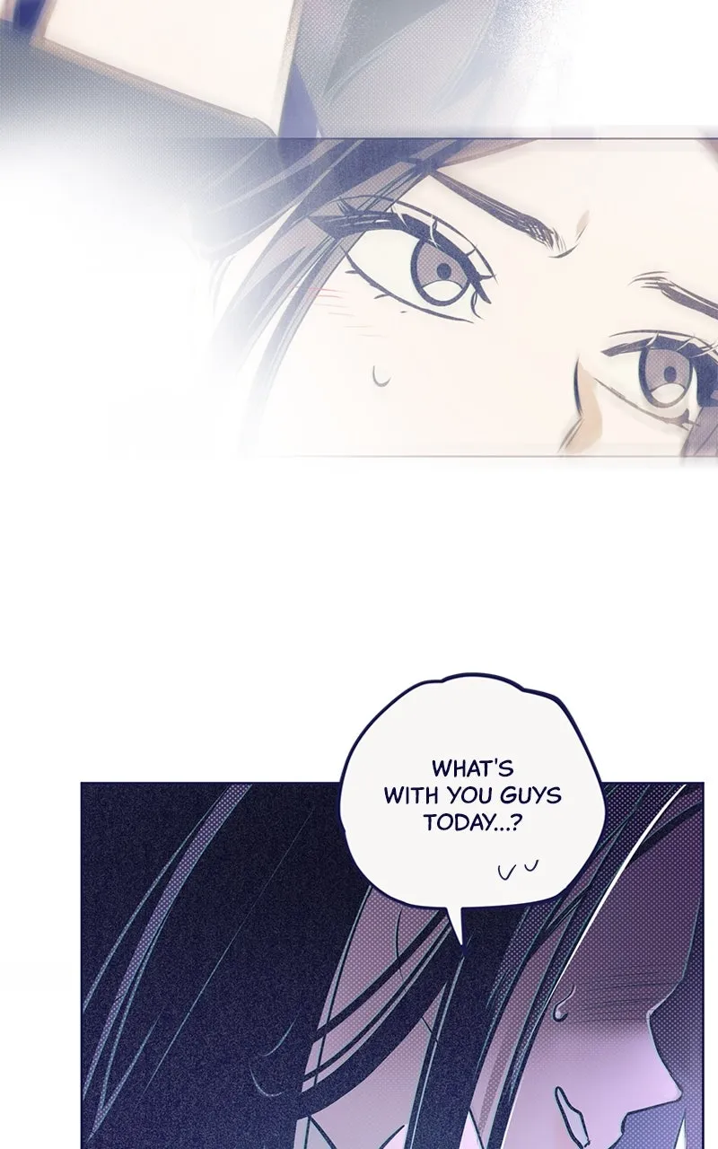 Four Options Chapter 3 page 136 - 