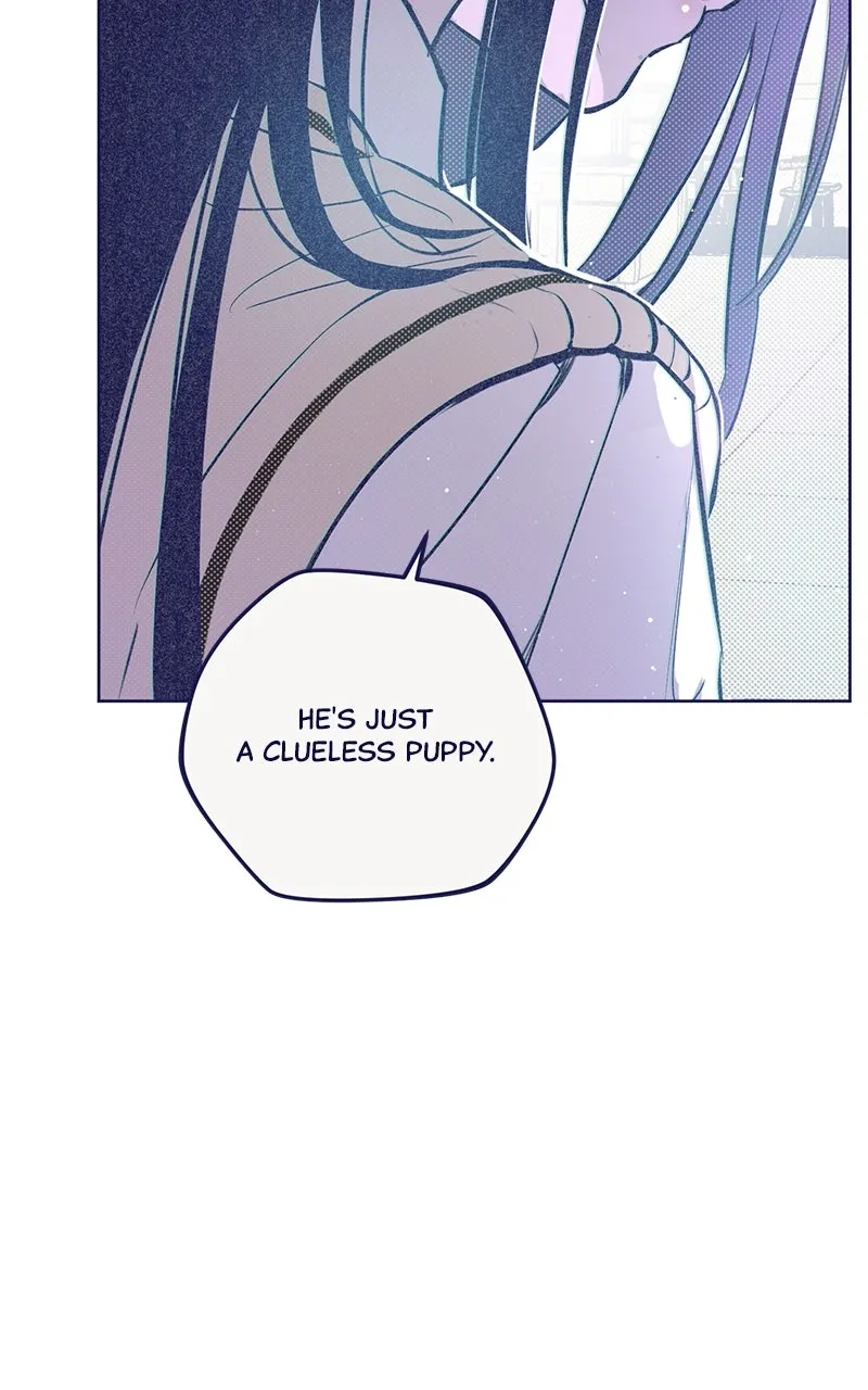 Four Options Chapter 3 page 137 - 