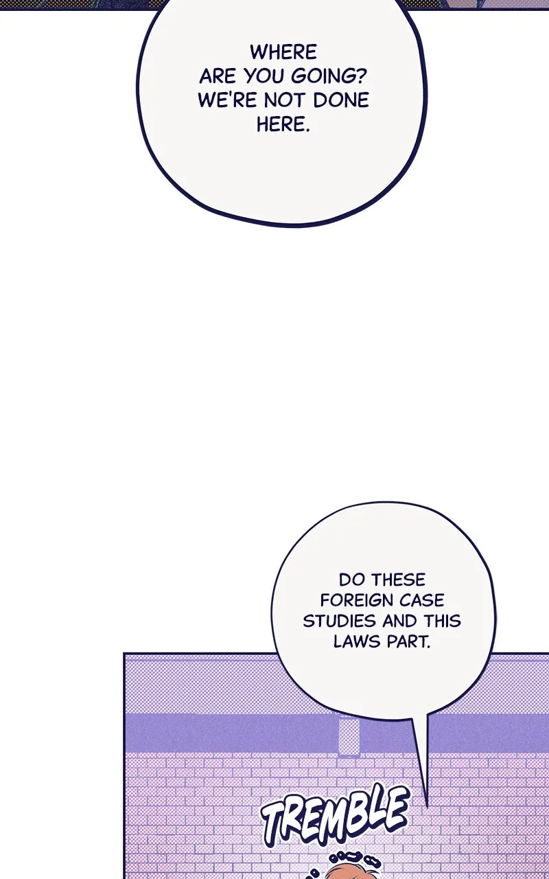 Four Options Chapter 3 page 19 - 