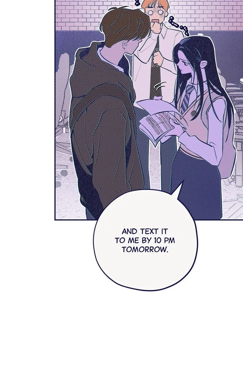 Four Options Chapter 3 page 20 - 