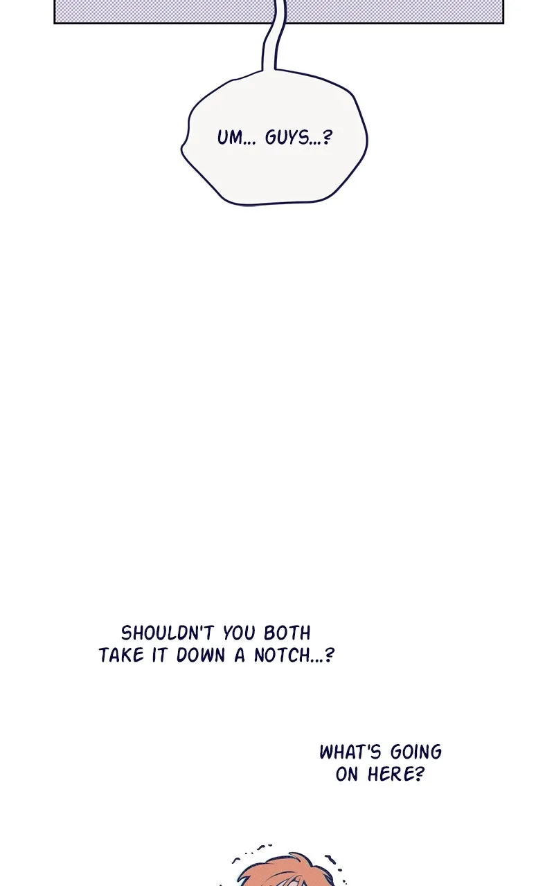 Four Options Chapter 3 page 37 - 