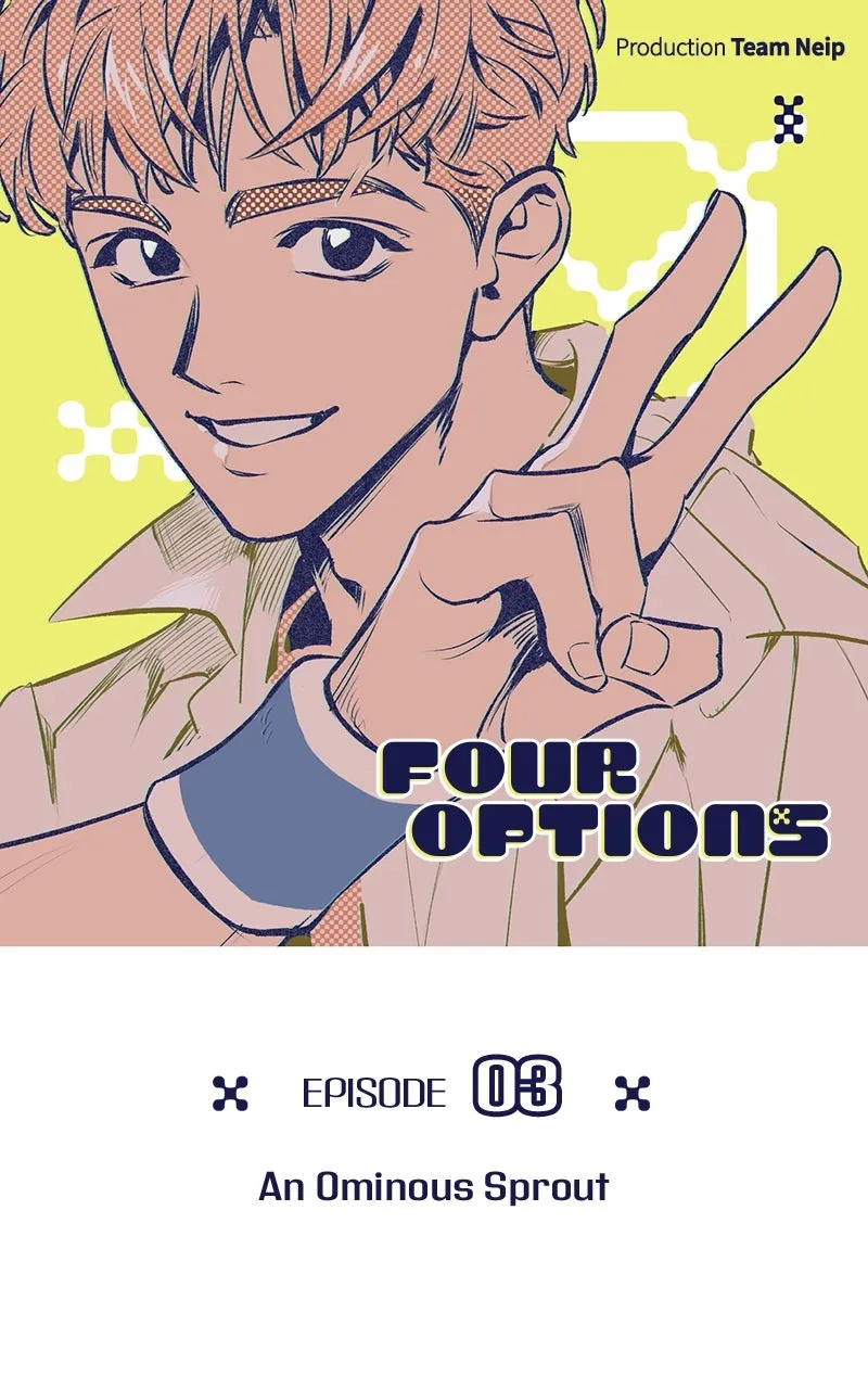Four Options Chapter 3 page 42 - 
