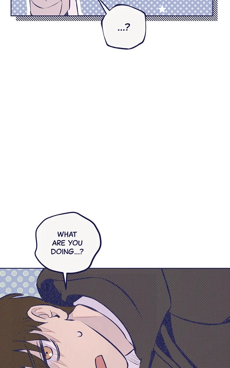 Four Options Chapter 3 page 63 - 
