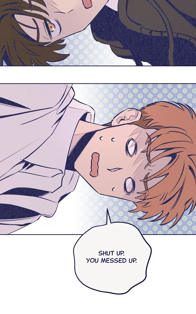 Four Options Chapter 3 page 64 - 