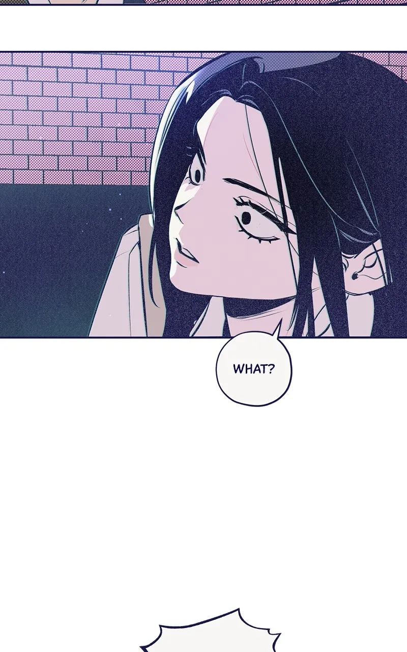 Four Options Chapter 3 page 8 - 