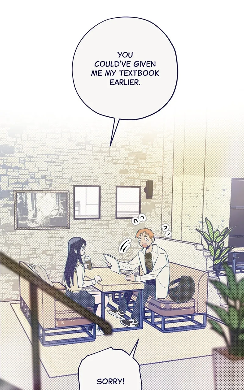 Four Options Chapter 3 page 72 - 