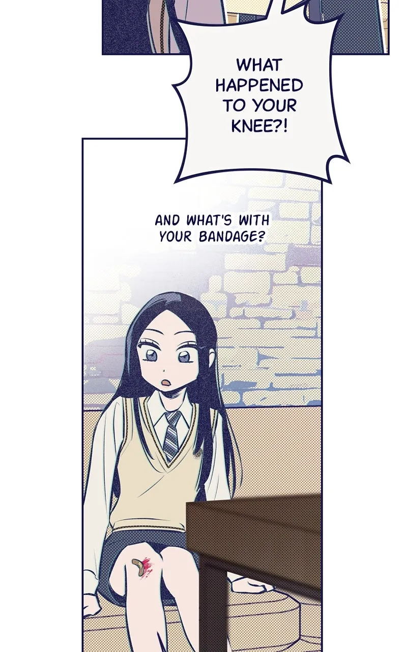 Four Options Chapter 3 page 76 - 