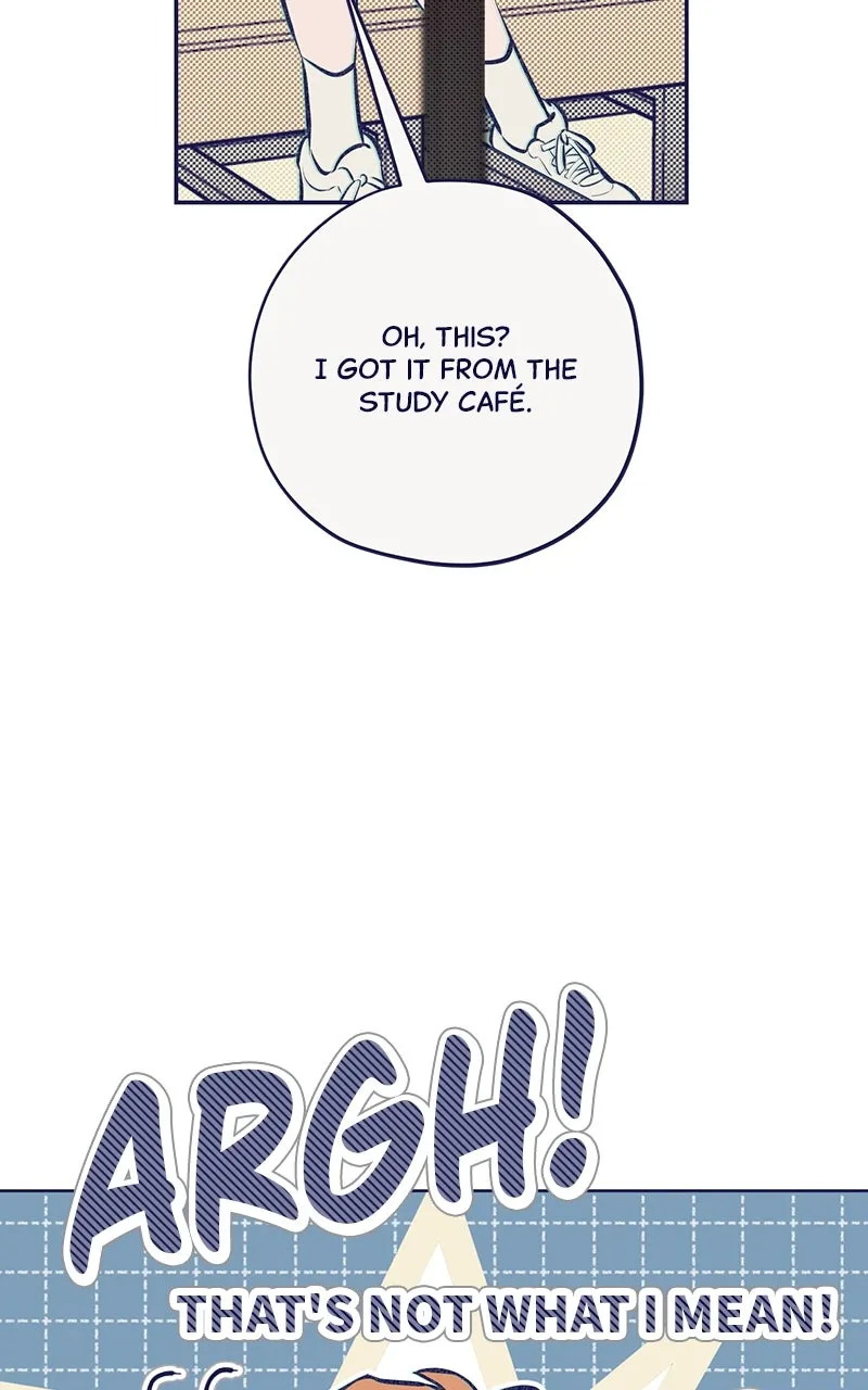Four Options Chapter 3 page 77 - 
