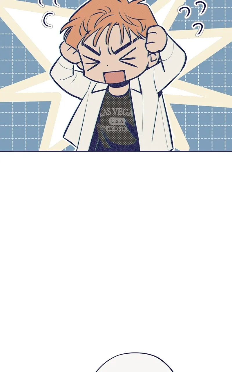 Four Options Chapter 3 page 78 - 