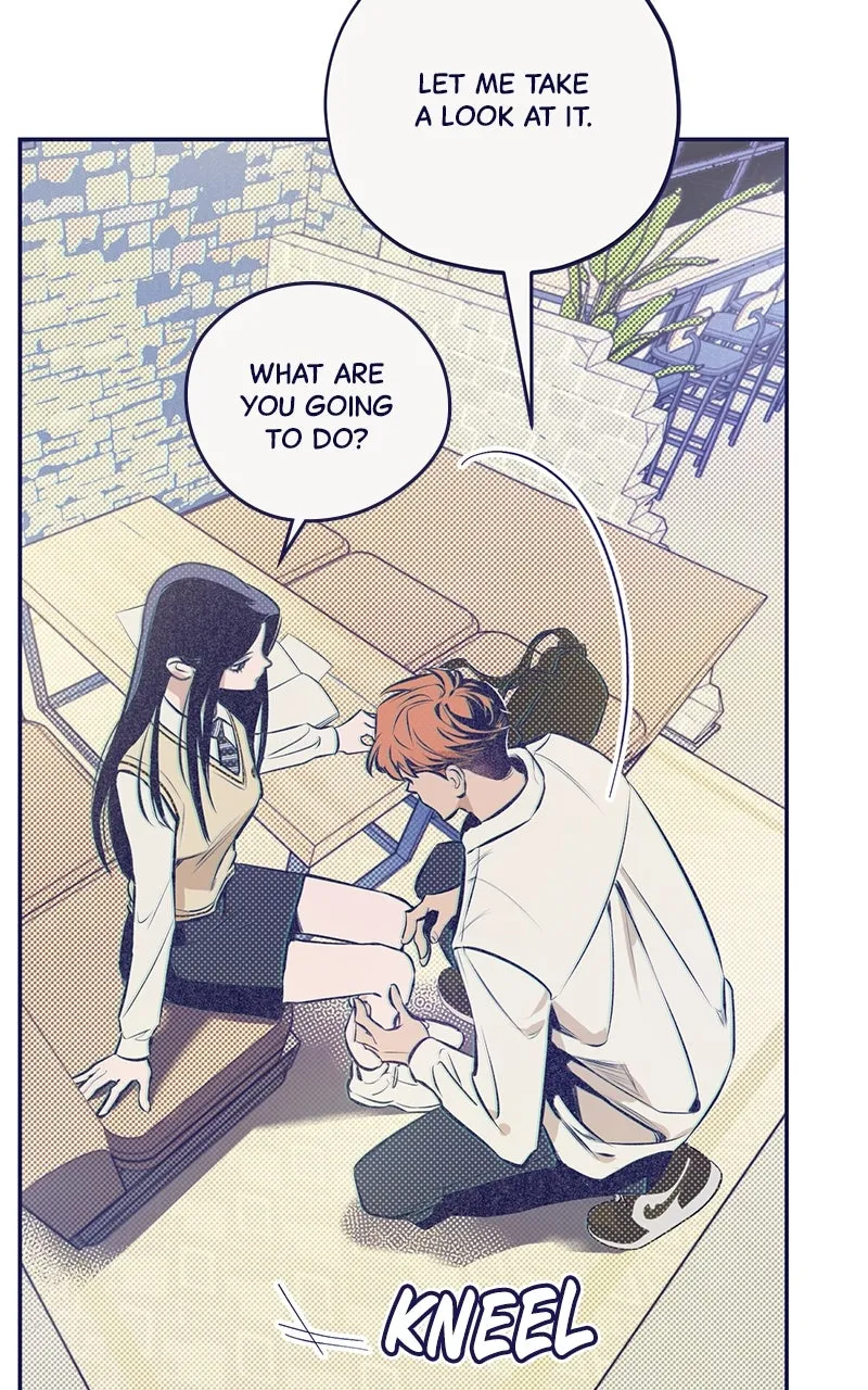 Four Options Chapter 3 page 79 - 
