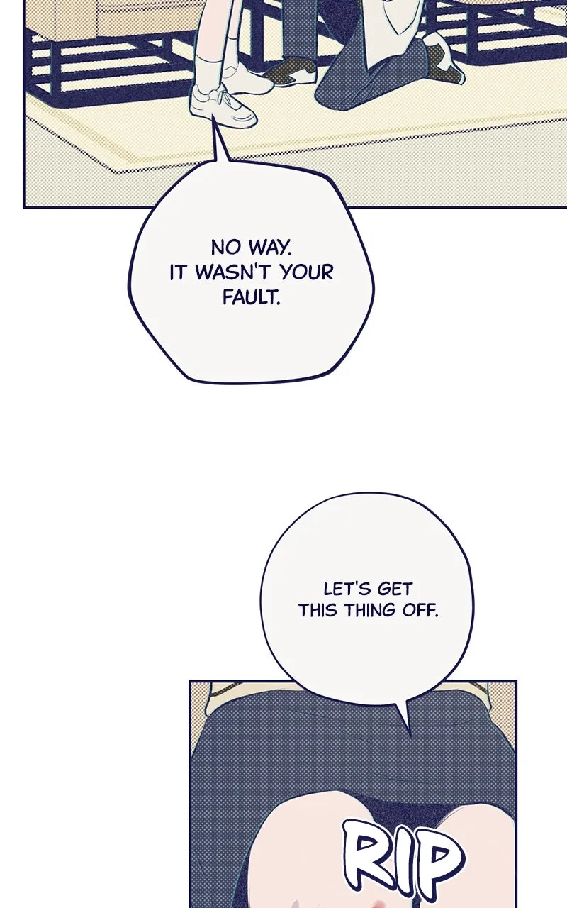 Four Options Chapter 3 page 84 - 