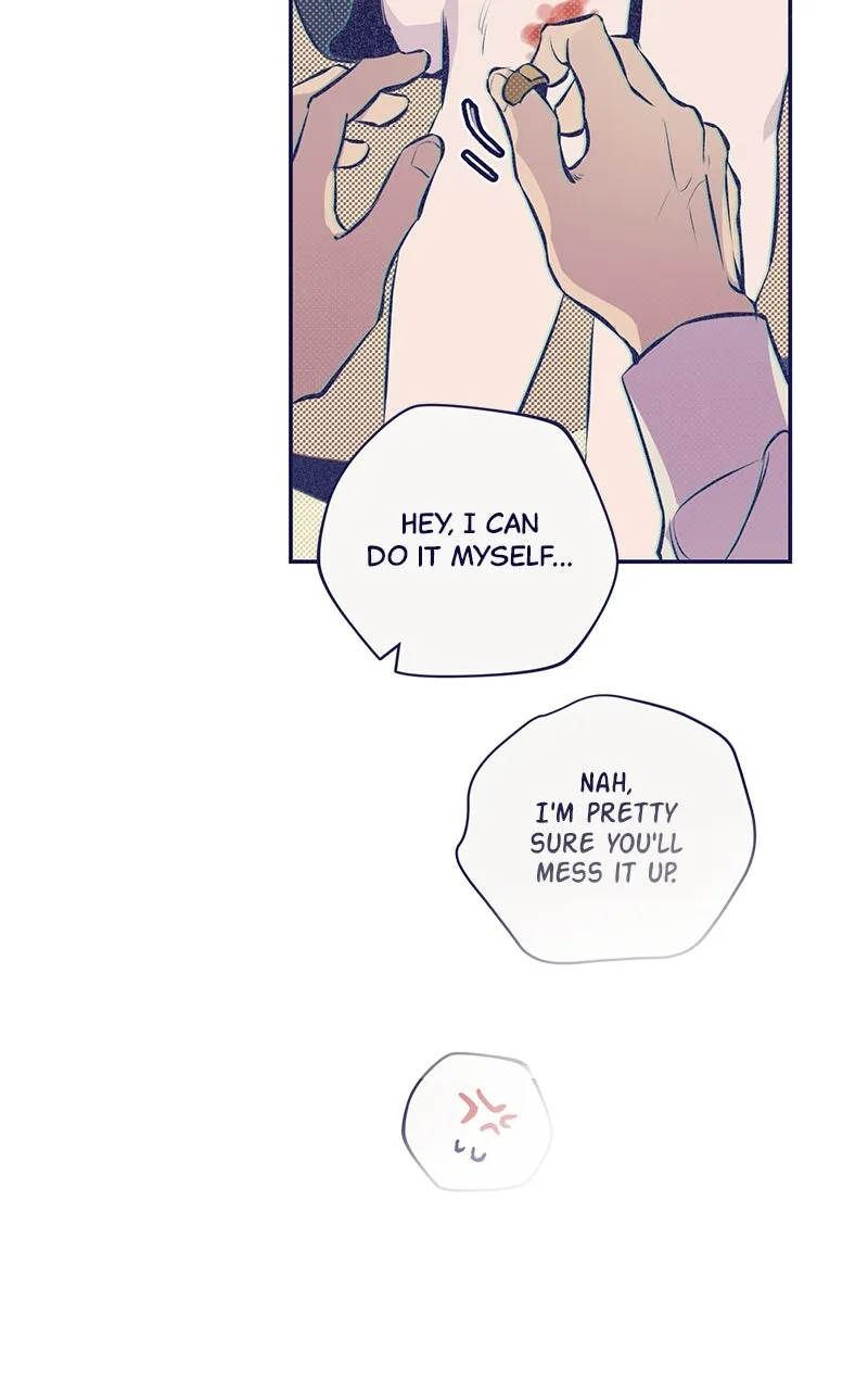 Four Options Chapter 3 page 85 - 