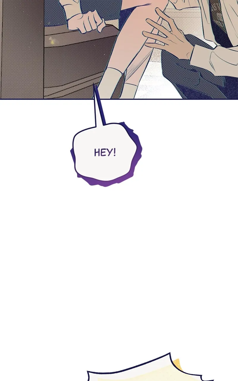 Four Options Chapter 3 page 94 - 
