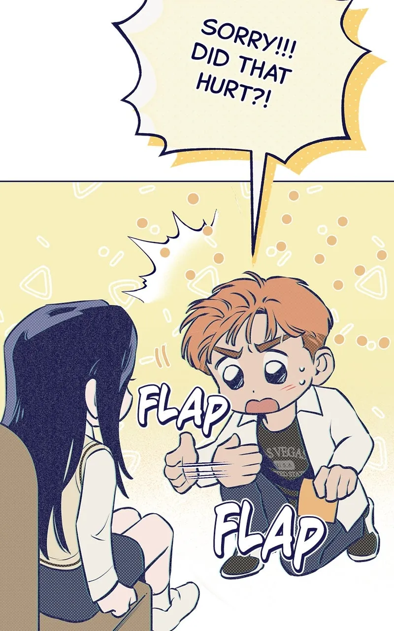 Four Options Chapter 3 page 95 - 