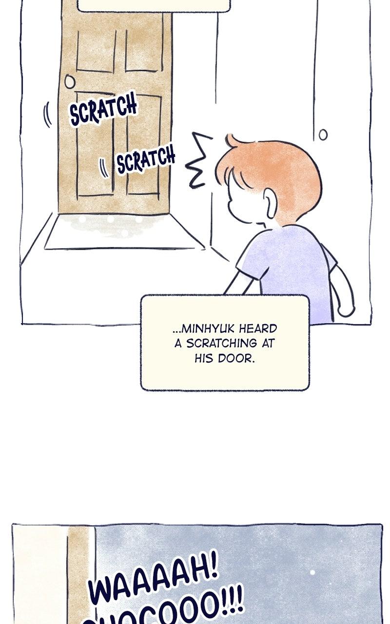 Four Options Chapter 34.5 page 28 - 