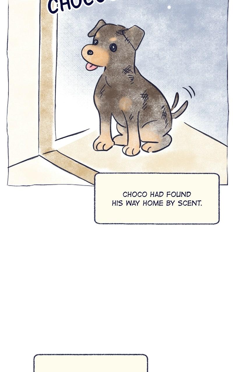 Four Options Chapter 34.5 page 29 - 