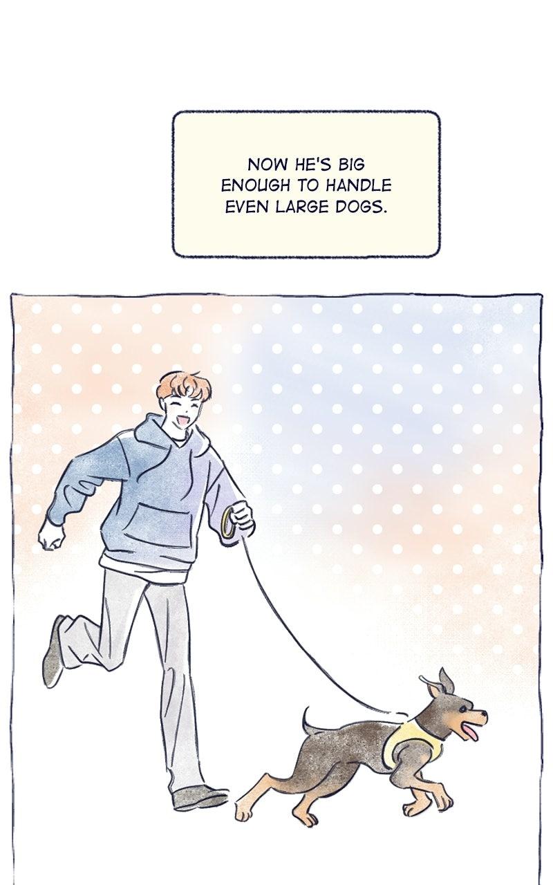 Four Options Chapter 34.5 page 31 - 