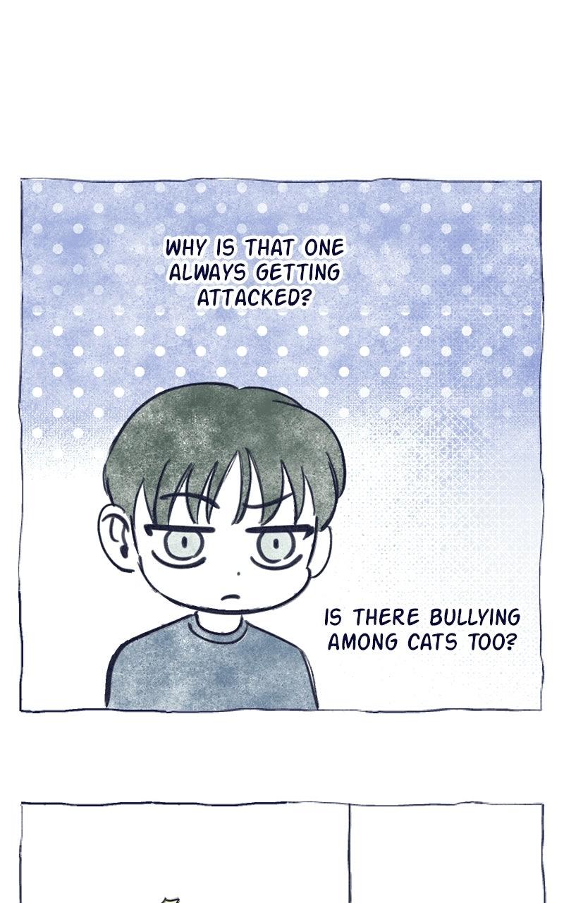 Four Options Chapter 34.5 page 47 - 