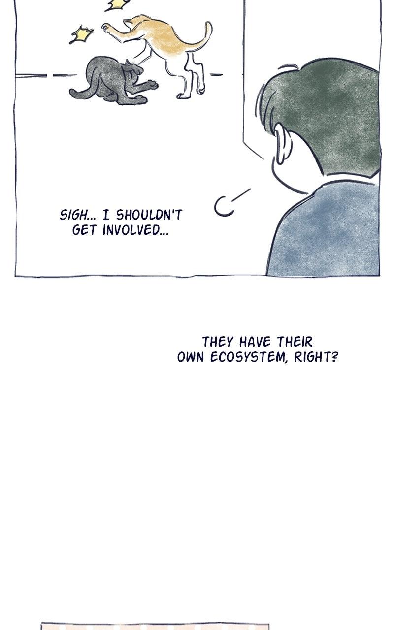 Four Options Chapter 34.5 page 48 - 