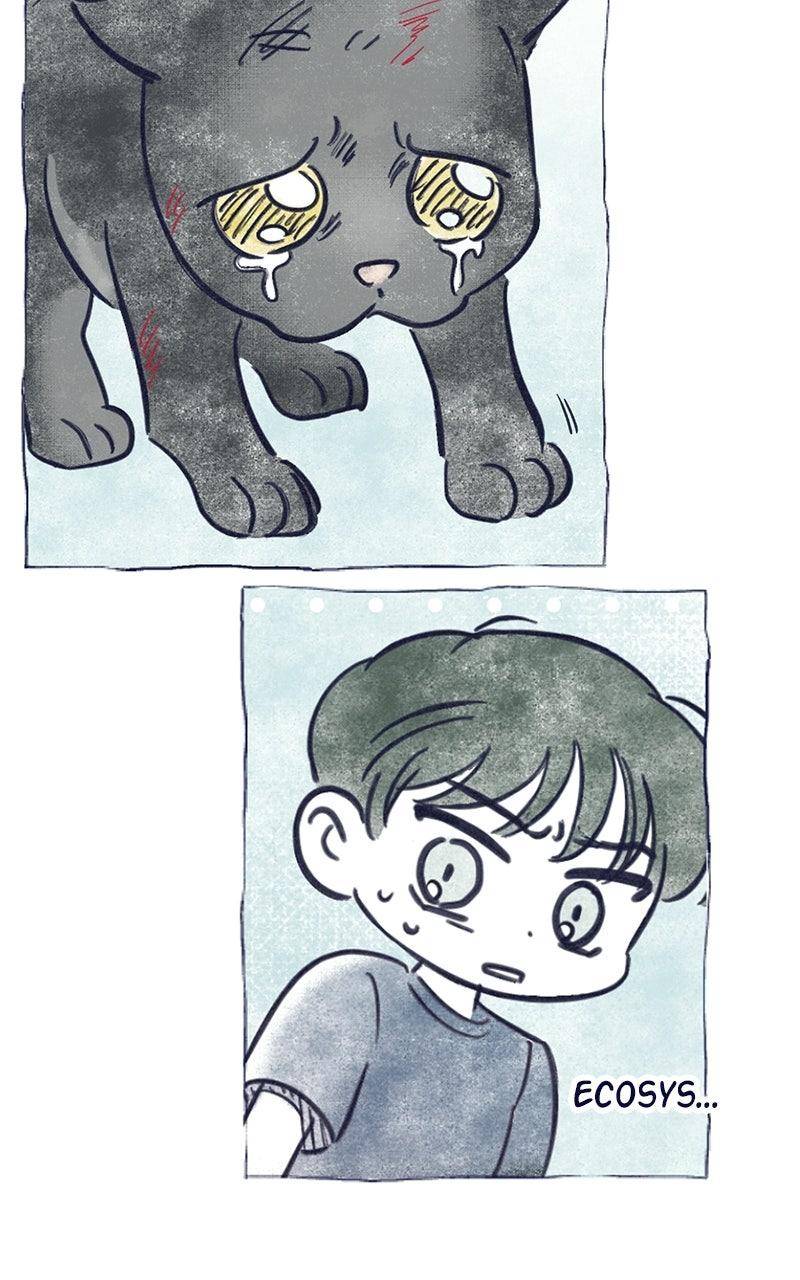 Four Options Chapter 34.5 page 50 - 
