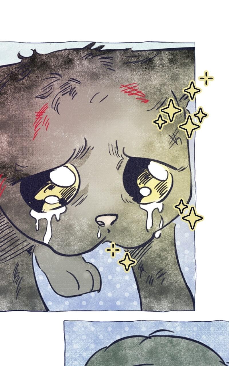 Four Options Chapter 34.5 page 51 - 