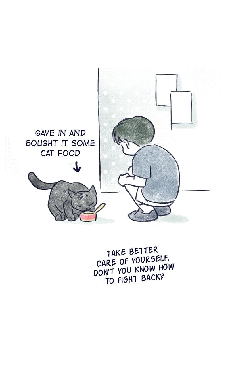 Four Options Chapter 34.5 page 53 - 