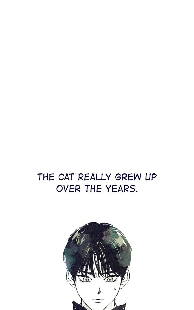 Four Options Chapter 34.5 page 54 - 