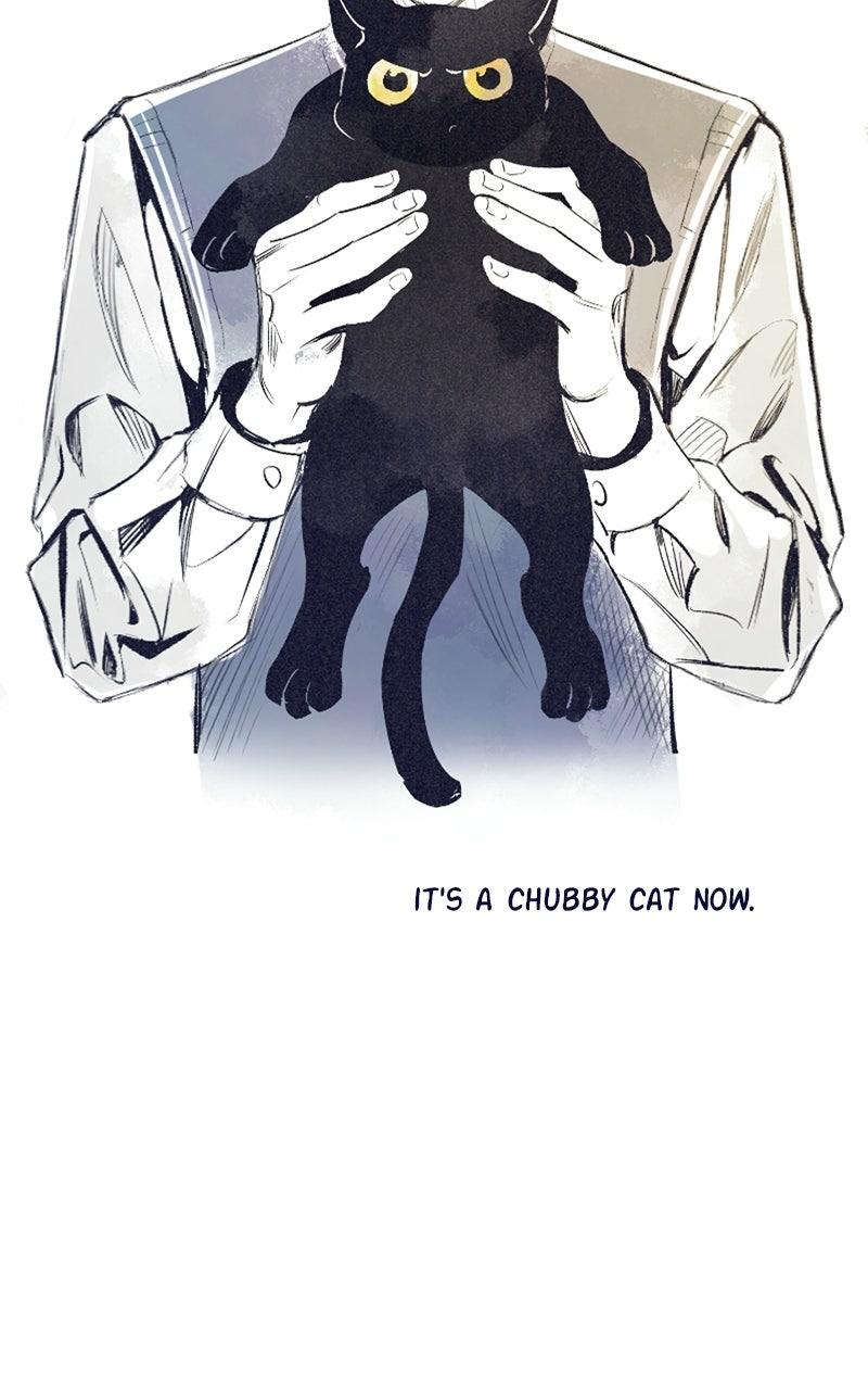Four Options Chapter 34.5 page 55 - 