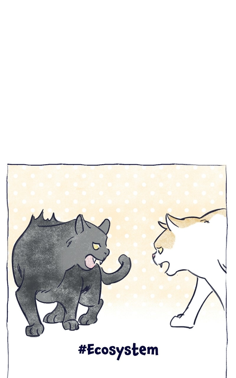 Four Options Ep. 34.5 - A Special Episode page 45 - 