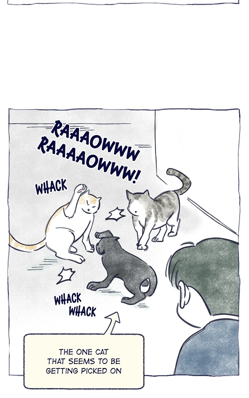 Four Options Ep. 34.5 - A Special Episode page 46 - 