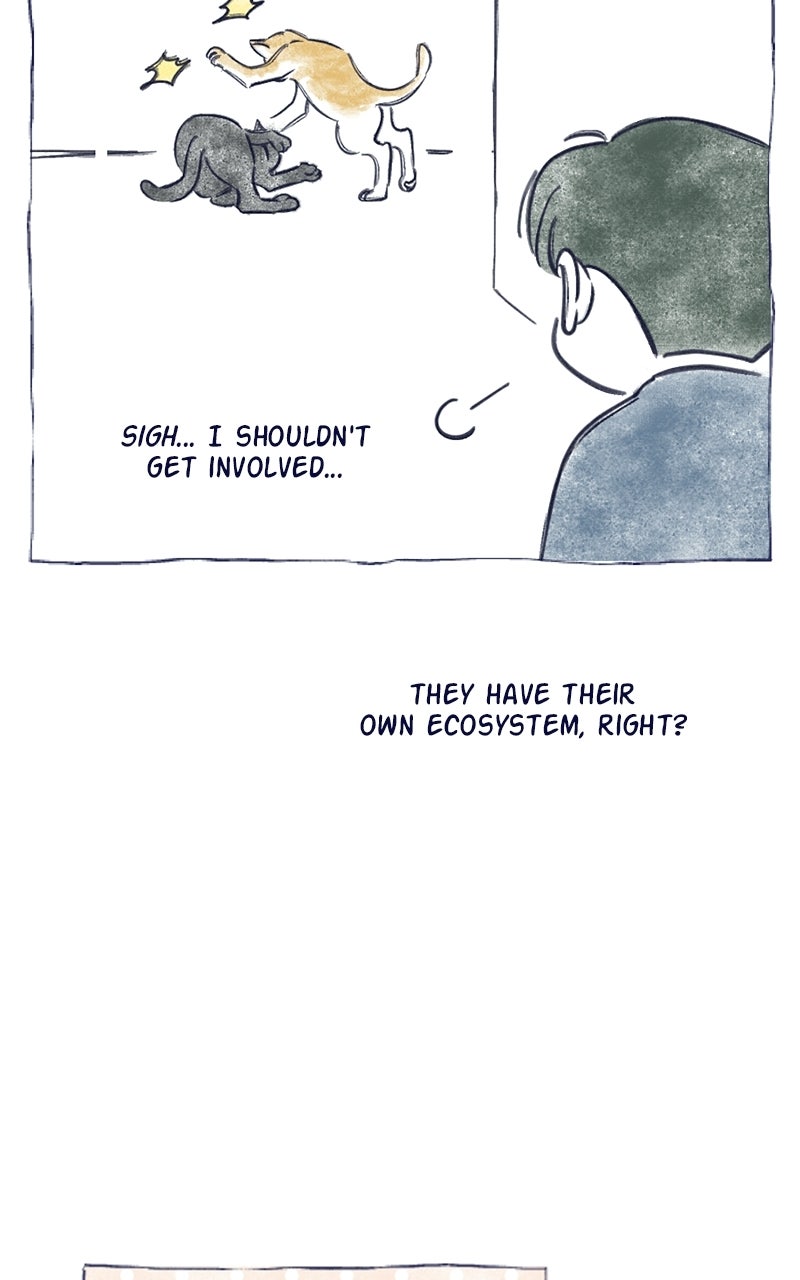 Four Options Ep. 34.5 - A Special Episode page 48 - 