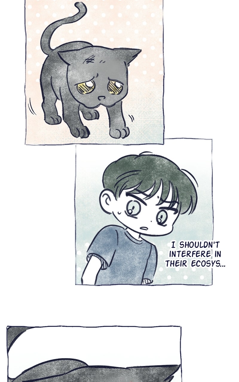 Four Options Ep. 34.5 - A Special Episode page 49 - 