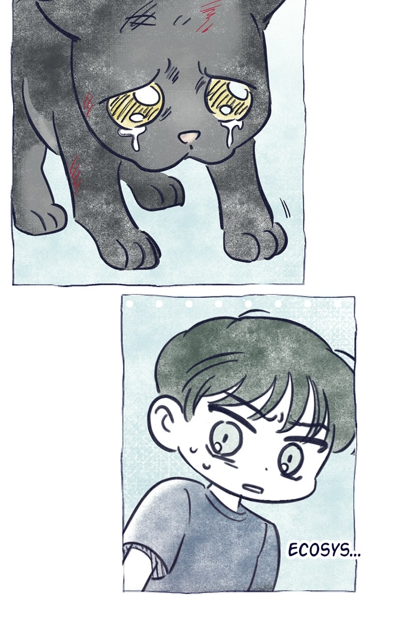 Four Options Ep. 34.5 - A Special Episode page 50 - 