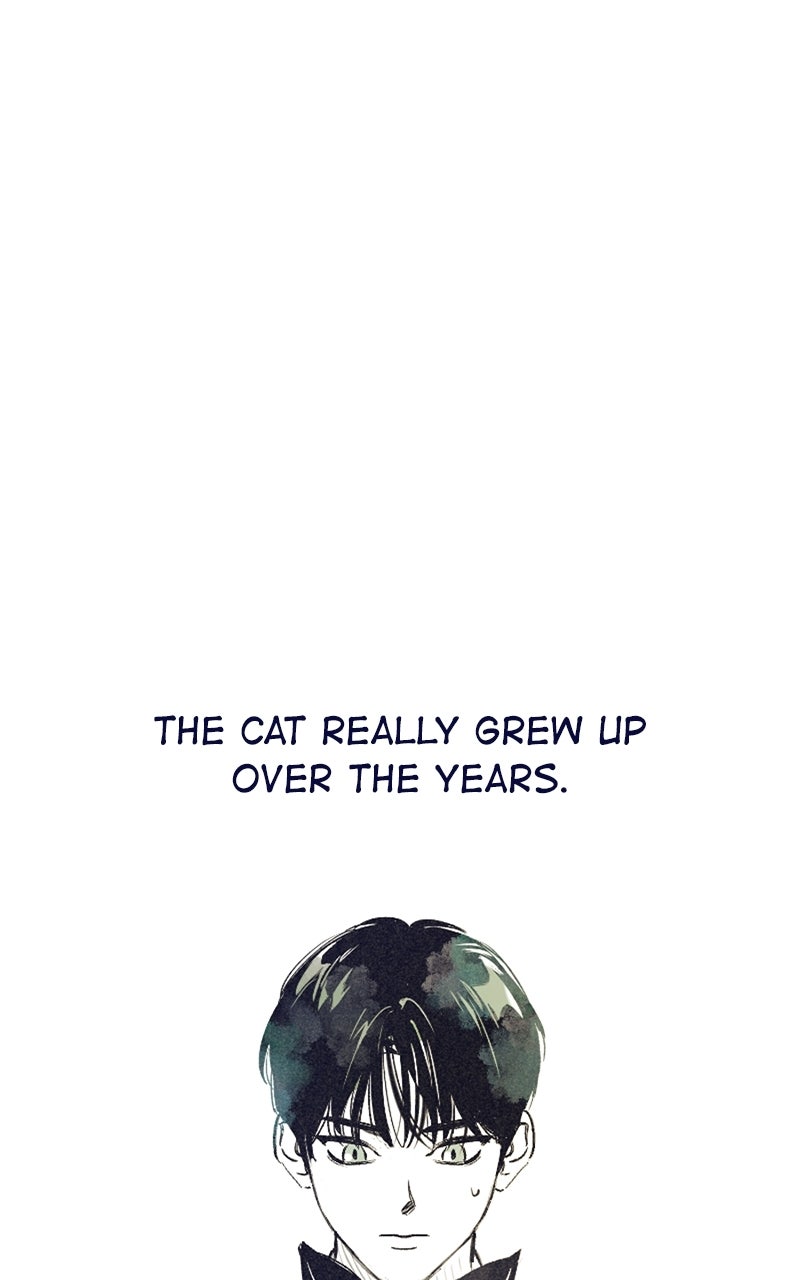 Four Options Ep. 34.5 - A Special Episode page 54 - 