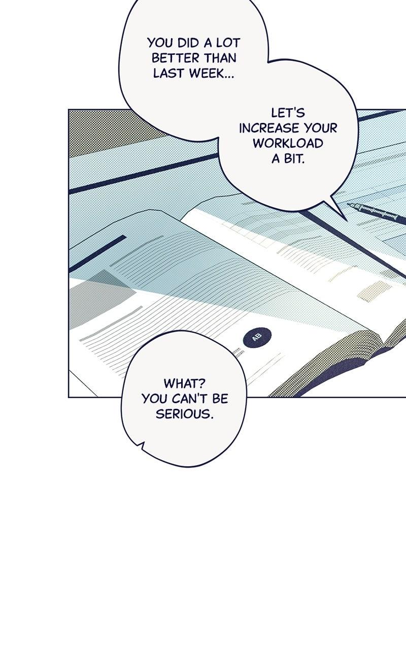 Four Options Chapter 38 page 90 - 