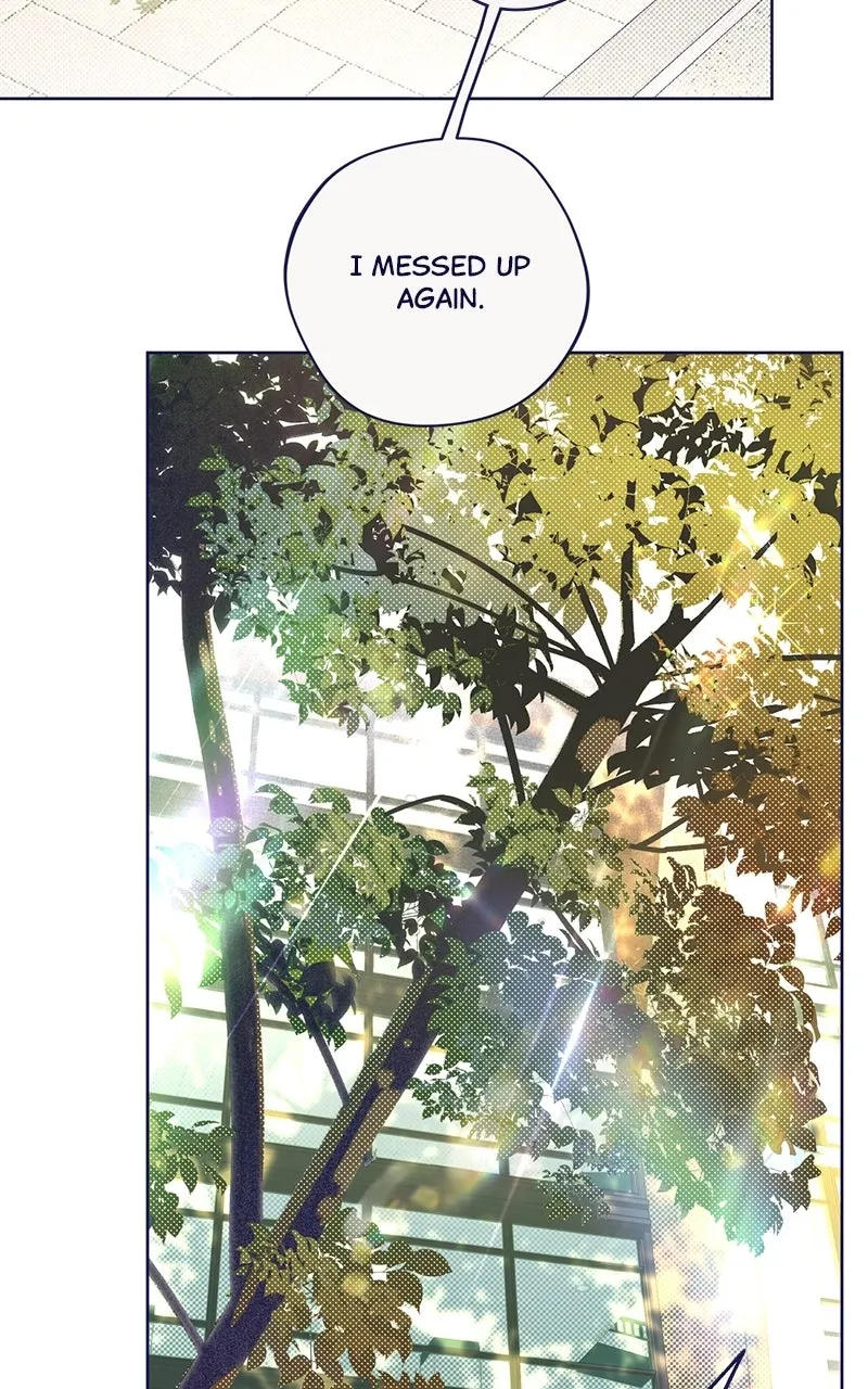 Four Options Chapter 4 page 105 - 