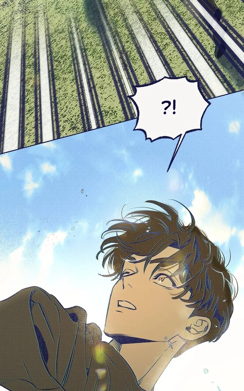 Four Options Chapter 4 page 110 - 