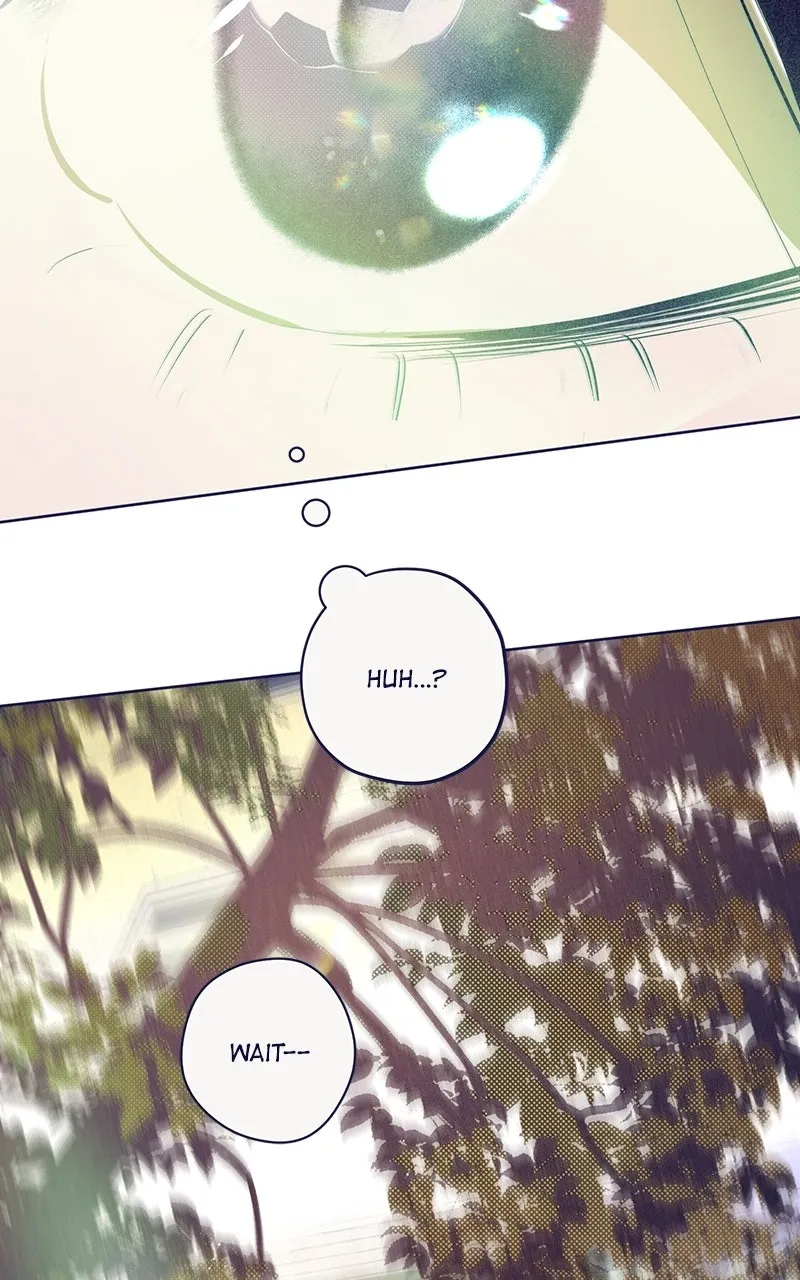 Four Options Chapter 4 page 114 - 