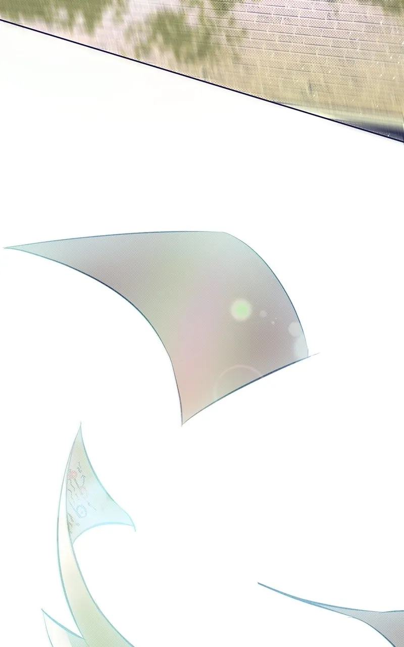 Four Options Chapter 4 page 116 - 