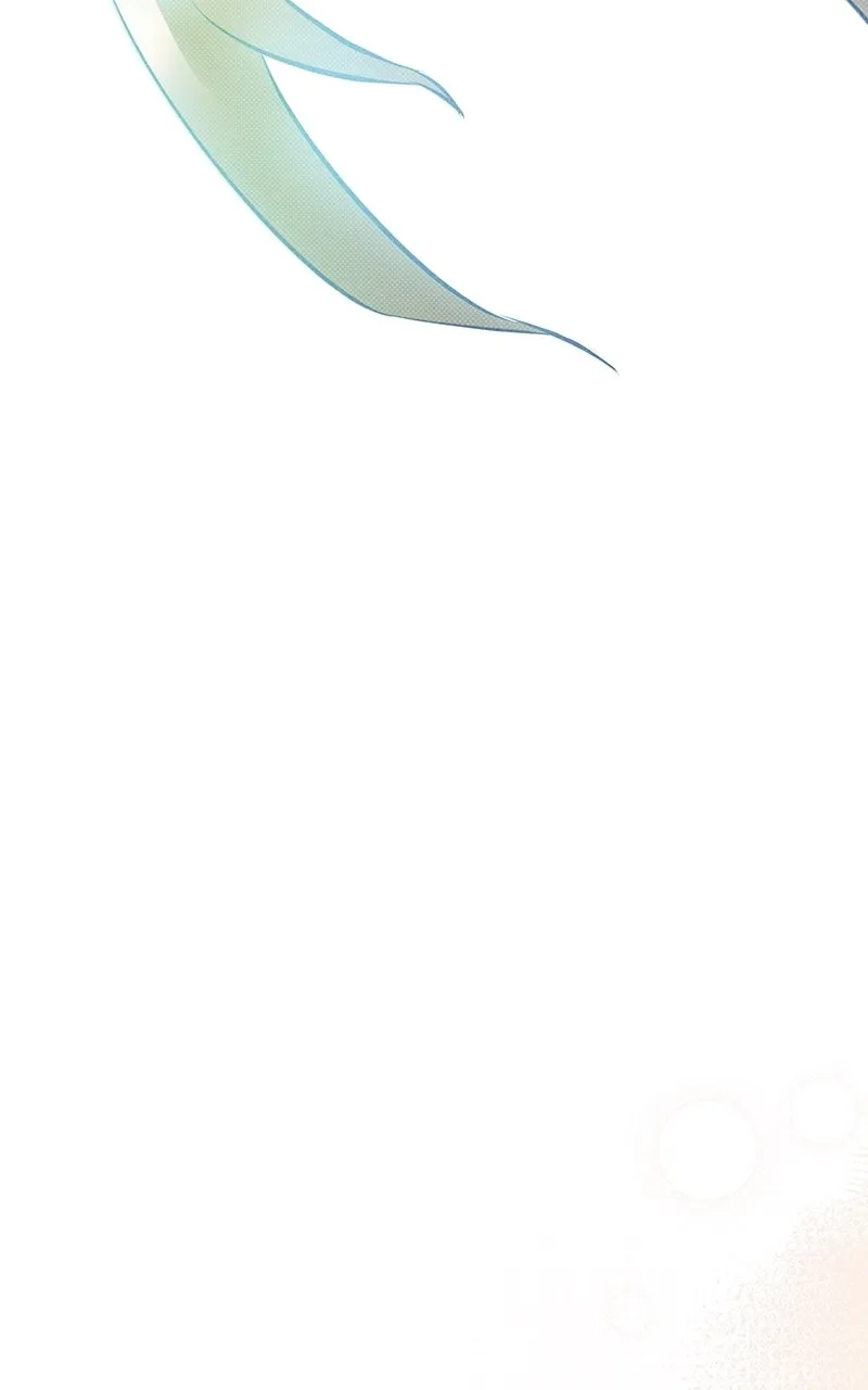 Four Options Chapter 4 page 117 - 