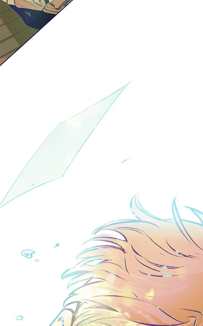 Four Options Chapter 4 page 119 - 