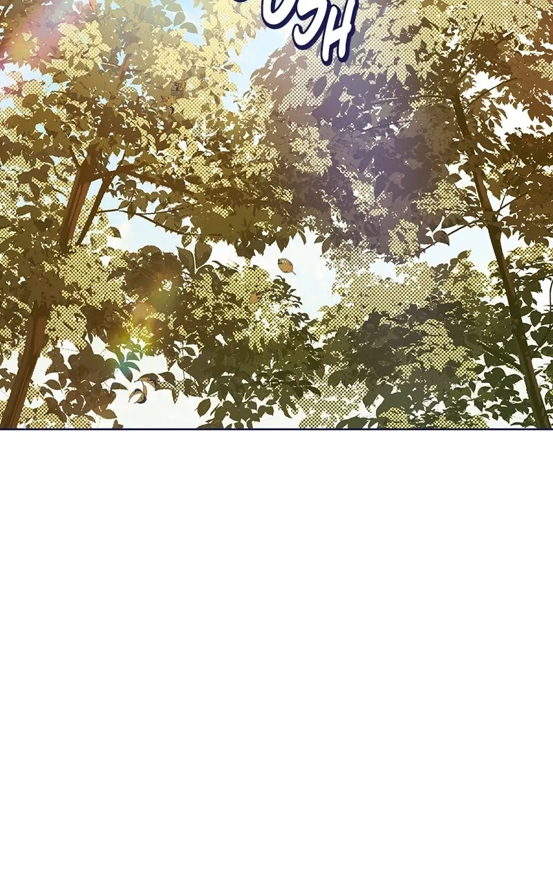 Four Options Chapter 4 page 128 - 